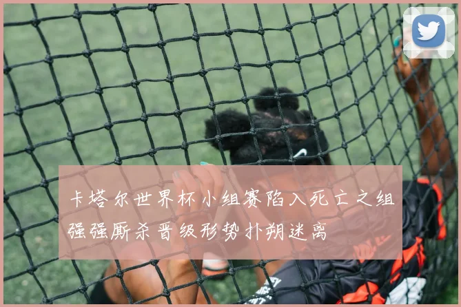 卡塔尔世界杯小组赛陷入死亡之组强强厮杀晋级形势扑朔迷离