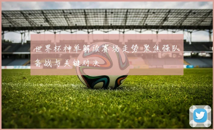世界杯神单解读赛场走势 聚焦强队备战与关键对决