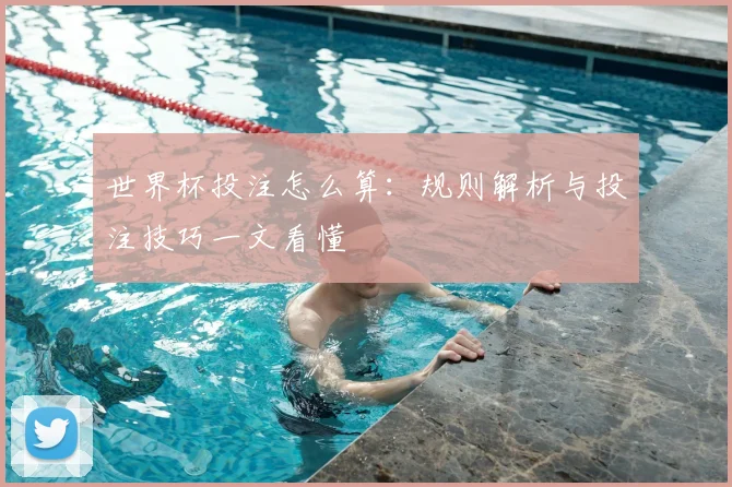 世界杯投注怎么算:规则解析与投注技巧一文看懂