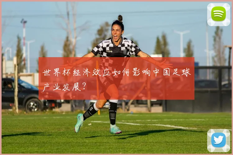 世界杯经济效应如何影响中国足球产业发展?