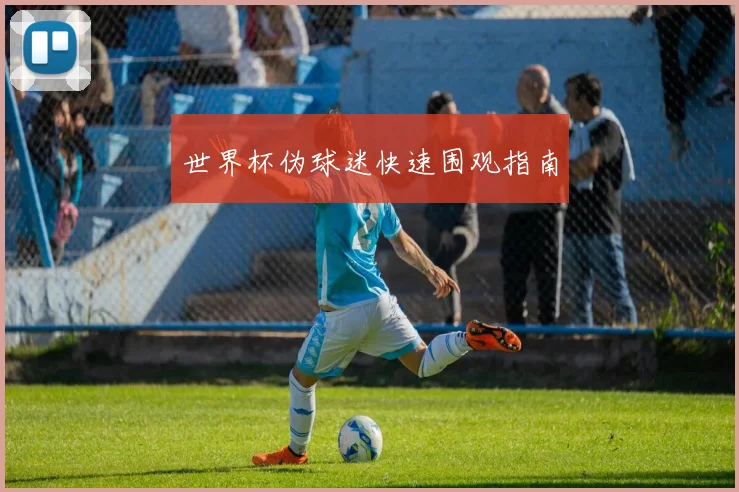 世界杯伪球迷快速围观指南