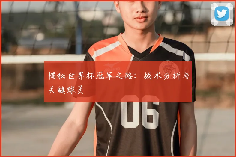 揭秘世界杯冠军之路:战术分析与关键球员